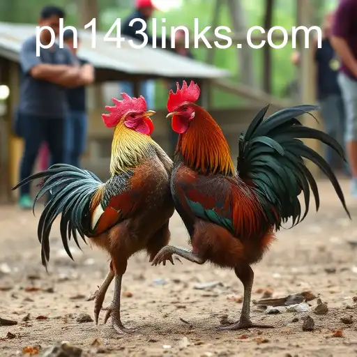 The Rise of Online Sabong: A Digital Evolution of Traditional Cockfighting